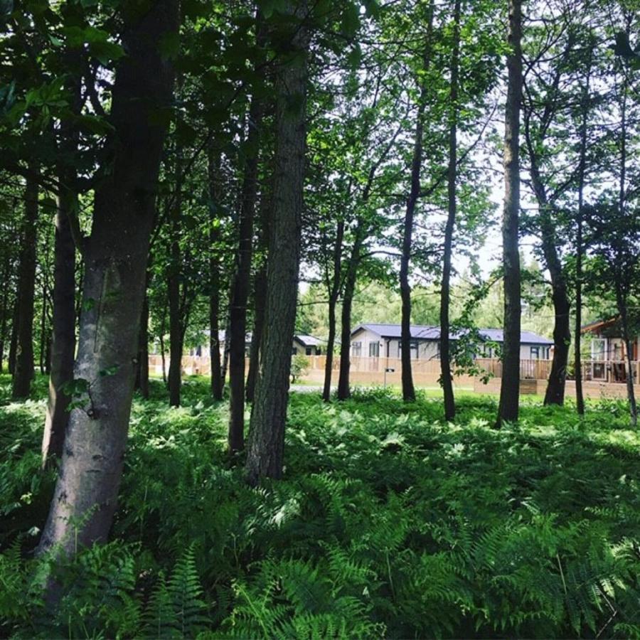 Hollicarrs - Stag Lodge York Exteriér fotografie