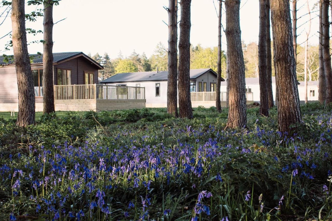 Hollicarrs - Stag Lodge York Exteriér fotografie