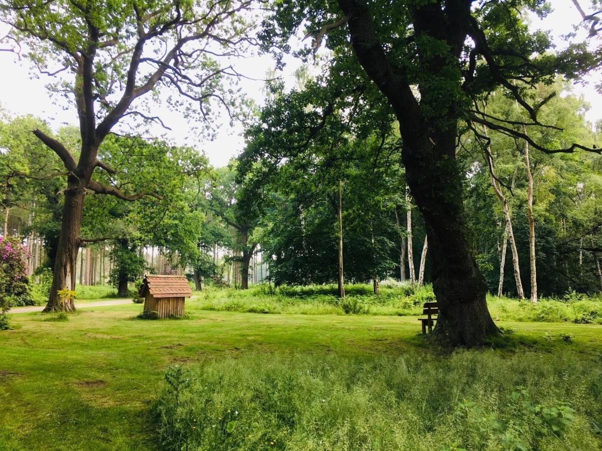 Hollicarrs - Stag Lodge York Exteriér fotografie