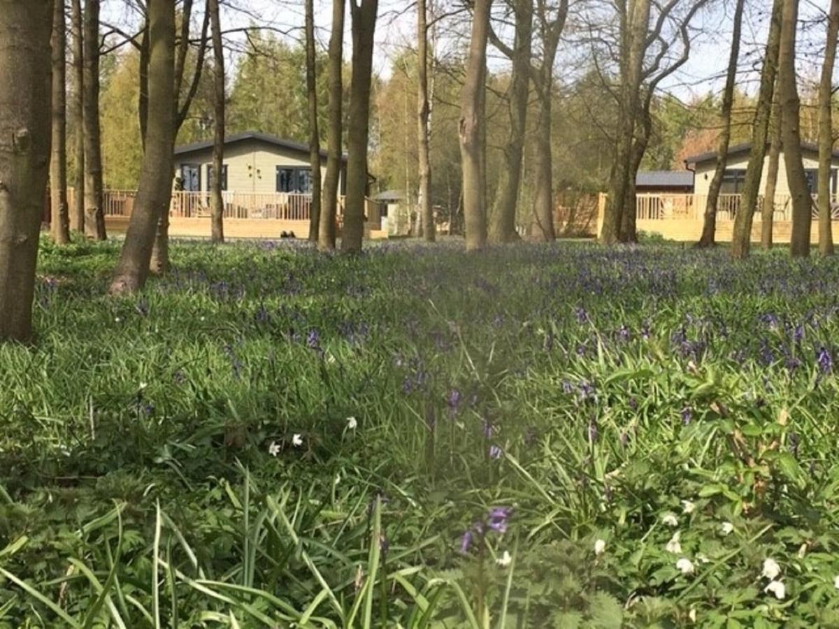Hollicarrs - Stag Lodge York Exteriér fotografie