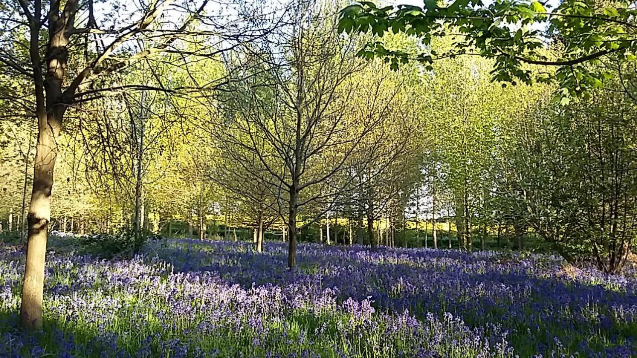 Hollicarrs - Stag Lodge York Exteriér fotografie