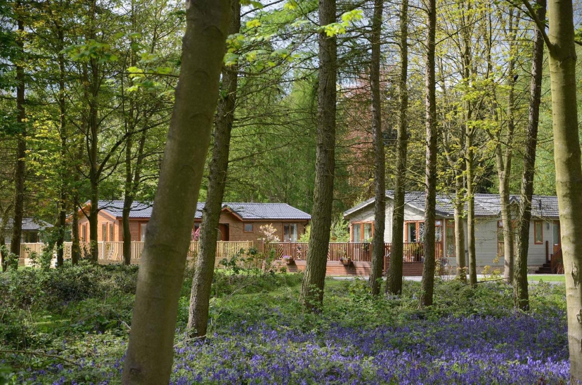 Hollicarrs - Stag Lodge York Exteriér fotografie